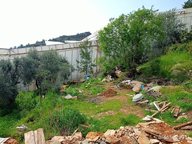 Acil Satılık Sera Bölgesinde Suya Yakın 780 m² Yatırımlık Araz