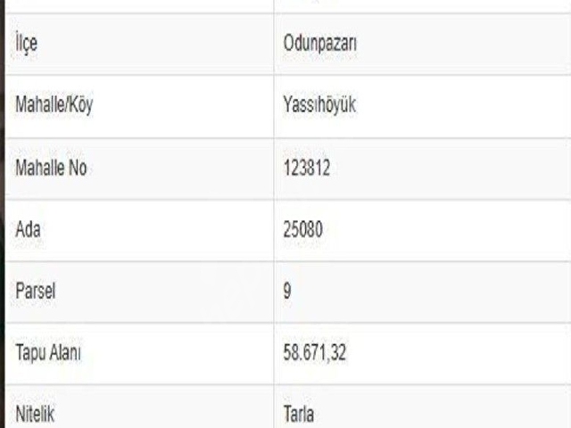 ESKİŞEHİR ODUNPAZARINDA SON DERECE  DEĞERLİ MEVKİİ  DE YATIRIMCIYA UYGUN TARLA HİSSESİ - Görsel 10