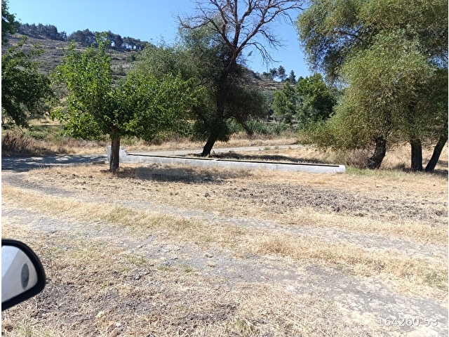 Manisa Kırkağaç Alifakıda Satılık Tarla