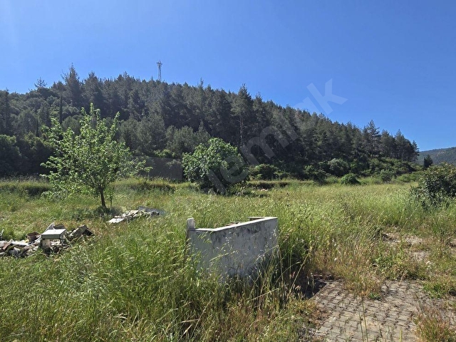 Selçuk yolu at çiftliği karşısı - Görsel 12