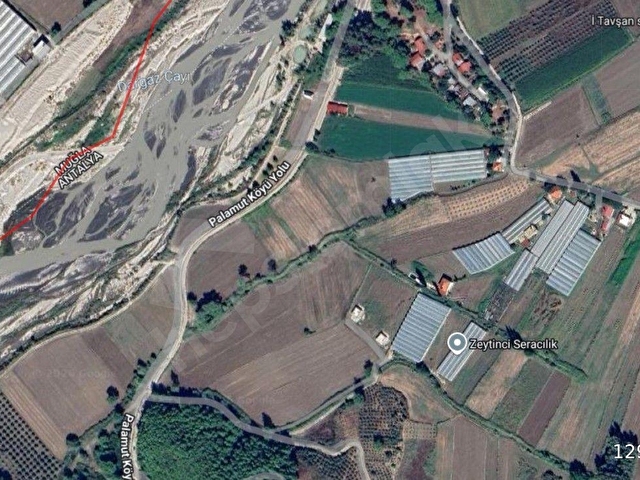KAŞ AKLARDA 990M2. TARLA İÇİ ELEKTRİK SU MEVCUT MÜSTAKİL YAPI - Görsel 10
