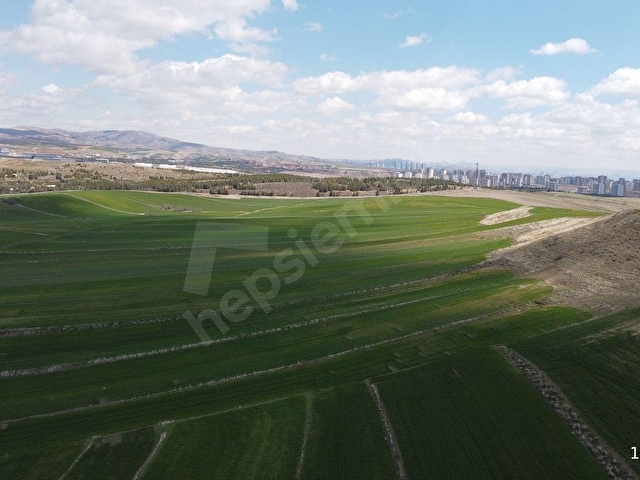 Emlakçı Nevzattan Susuz Belörende 400 m2 206 ada 51 Hesaplı - Görsel 4
