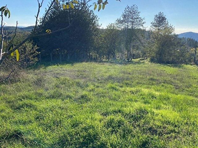 Zonguldak Kozlu Çamköy Köyünde Satılık Arsa - Görsel 5