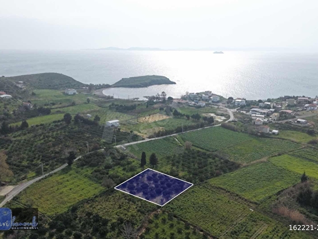 KARABURUN SALMAN ÇAYIR MEVKİİ SATILIK MANDALİN AĞAÇLI TARLA