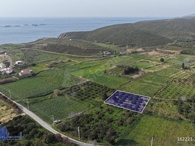 KARABURUN SALMAN ÇAYIR MEVKİİ SATILIK MANDALİN AĞAÇLI TARLA - Görsel 3