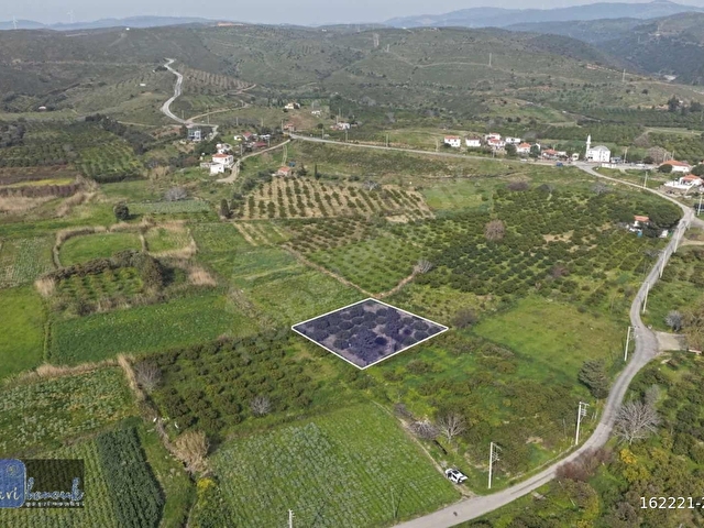 KARABURUN SALMAN ÇAYIR MEVKİİ SATILIK MANDALİN AĞAÇLI TARLA - Görsel 4