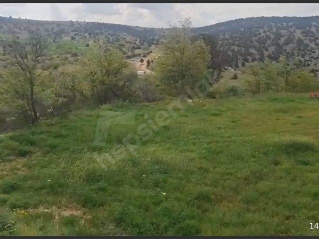 Meram Karadiğinde Satılık 800 m² Müstakil Tapu Bahçe – AYVAZ GAYRİMENKUL Güvencesiyle - Görsel 3