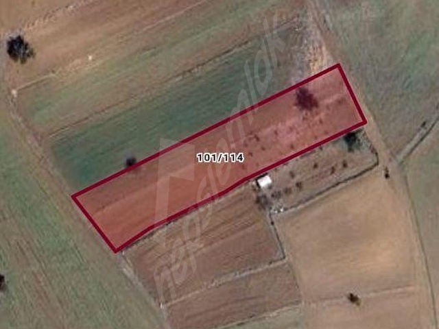KARAR DAN TAVAS TEKKEDE 2735M2 YOL CEPHELİ 20 ADET CEVİZLİ TARLA - Görsel 3