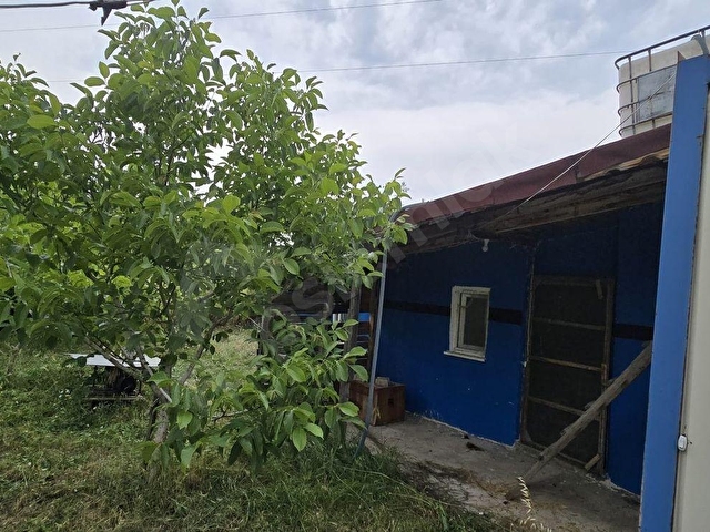 SAYMANDAN TAVŞANLI BALIKÖYDE SATILIK HOBİ BAHÇESİ - Görsel 12
