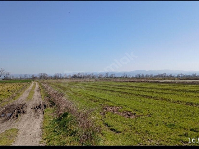 BİGA GÜLEÇ KÖYDE SATILIK 5.823 M² TARLA - Görsel 13
