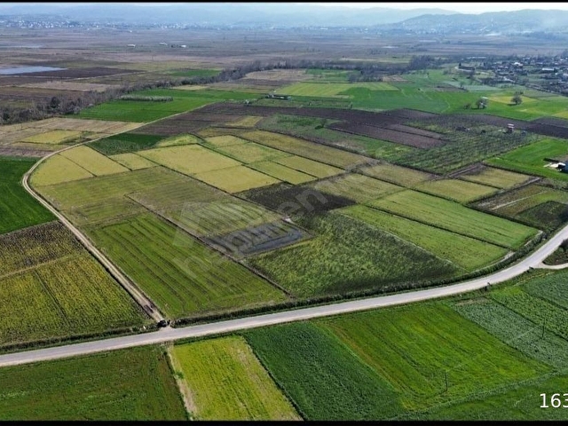 BİGA GÜLEÇ KÖYDE SATILIK 5.823 M² TARLA - Görsel 5