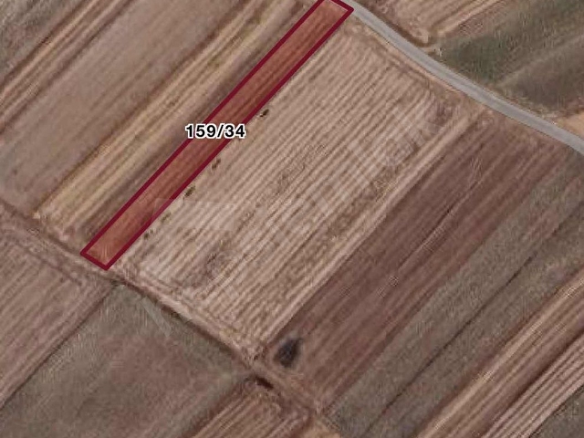 AHİMEHMETDE KÖYE YAKIN YOLA CEPHE 412 M2 SATILIK TARLA
