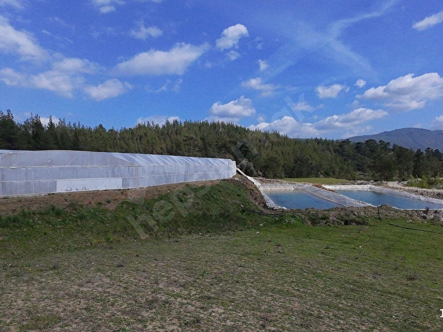 Antalya Kaş Dirgenlerde Satılık Tarla, - Görsel 12