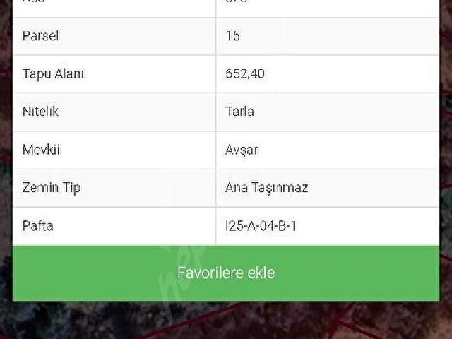 DAĞKÜPLÜDE DERE SU CEPHELİ BAHÇE - Görsel 15