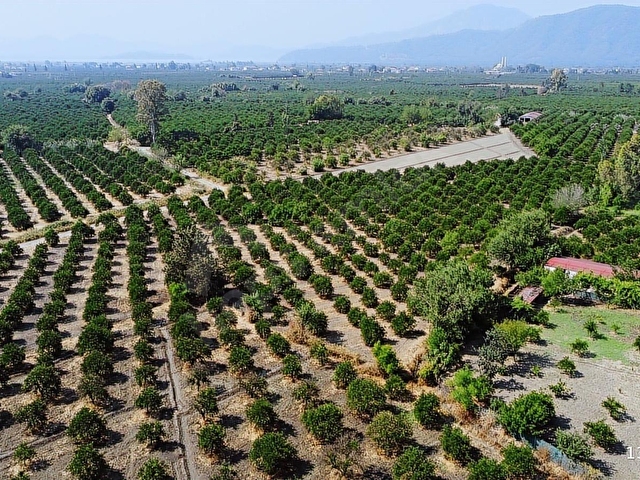 Atam Emlaktan Zaferlerde Satılık 3000 M2 Müstakil Parsel Ve Ev - Görsel 17