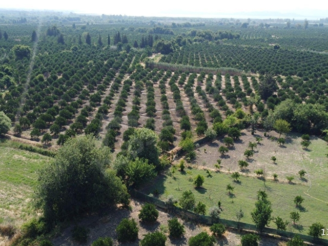Atam Emlaktan Zaferlerde Satılık 3000 M2 Müstakil Parsel Ve Ev - Görsel 20
