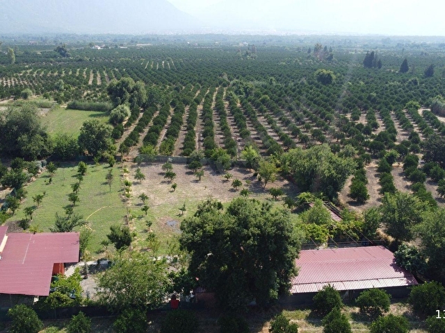 Atam Emlaktan Zaferlerde Satılık 3000 M2 Müstakil Parsel Ve Ev - Görsel 30
