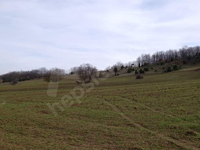 ELEKTRİĞİ VE YOLU ÖNÜNDE,ARKASI ORMAN,16 DÖNÜM %5 İMARLI ARAZİ - Görsel 8