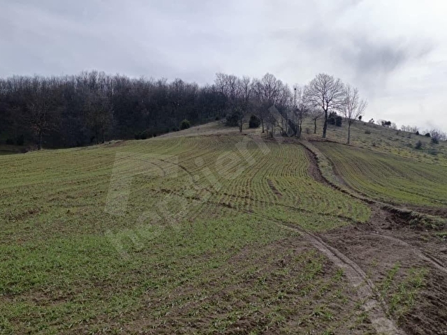 ELEKTRİĞİ VE YOLU ÖNÜNDE,ARKASI ORMAN,16 DÖNÜM %5 İMARLI ARAZİ - Görsel 27