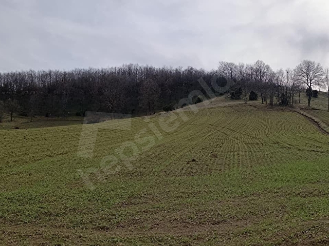 ELEKTRİĞİ VE YOLU ÖNÜNDE,ARKASI ORMAN,16 DÖNÜM %5 İMARLI ARAZİ - Görsel 29