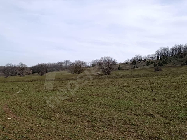 ELEKTRİĞİ VE YOLU ÖNÜNDE,ARKASI ORMAN,16 DÖNÜM %5 İMARLI ARAZİ - Görsel 21