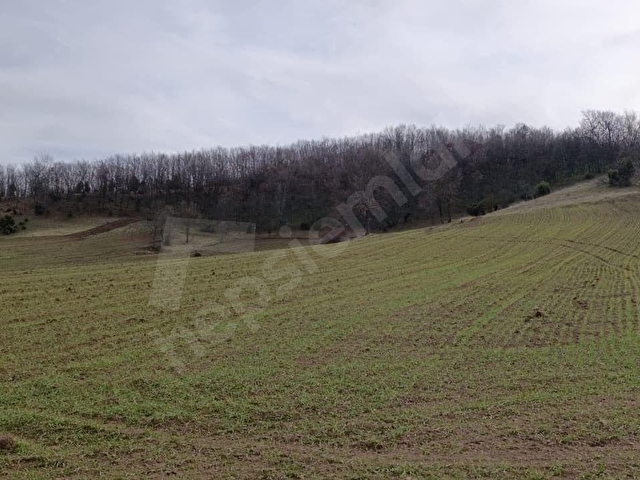 ELEKTRİĞİ VE YOLU ÖNÜNDE,ARKASI ORMAN,16 DÖNÜM %5 İMARLI ARAZİ - Görsel 10
