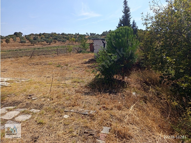 Akdeniz Emlaktan Satılık Şehzadeler İlç Kara Oğlanlı 69 000 M2 EV ve Arazi - Görsel 12