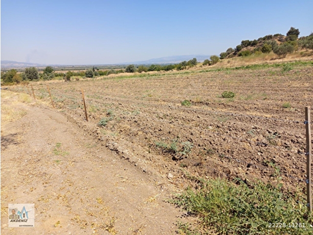 Akdeniz Emlaktan Satılık Şehzadeler İlç Kara Oğlanlı 69 000 M2 EV ve Arazi - Görsel 13