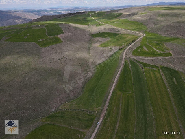PUSULA GAYRİMENKULDEN HÖBEKTEN 2.554 M2 SATILIK TARLA - Görsel 2