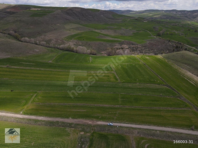 PUSULA GAYRİMENKULDEN HÖBEKTEN 2.554 M2 SATILIK TARLA - Görsel 11