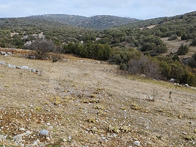 ASYA EVİM EMLAKTAN AĞLASUN ÇANAKLI DA SATILIK TARLA - Görsel 16