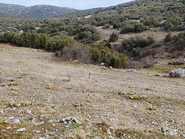 ASYA EVİM EMLAKTAN AĞLASUN ÇANAKLI DA SATILIK TARLA - Görsel 13
