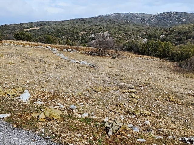 ASYA EVİM EMLAKTAN AĞLASUN ÇANAKLI DA SATILIK TARLA - Görsel 3