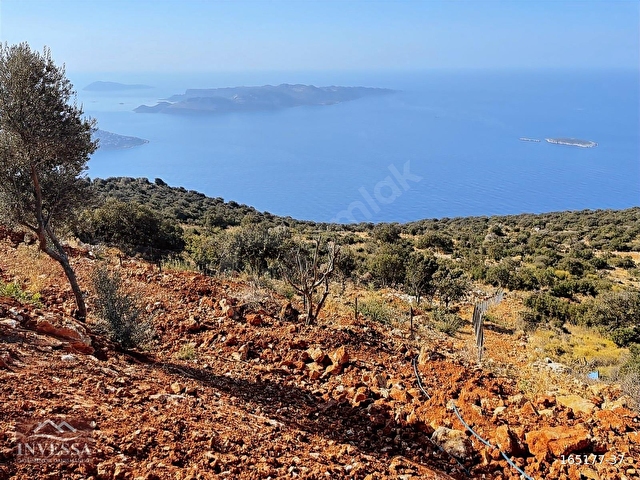 KAŞ GÖKÇEÖRENDE EŞSİZ DENİZ MANZARALI TEK TAPU SATILIK TARLA