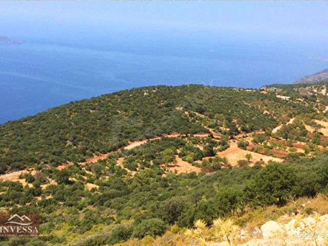 KAŞ GÖKÇEÖRENDE EŞSİZ DENİZ MANZARALI TEK TAPU SATILIK TARLA - Görsel 16