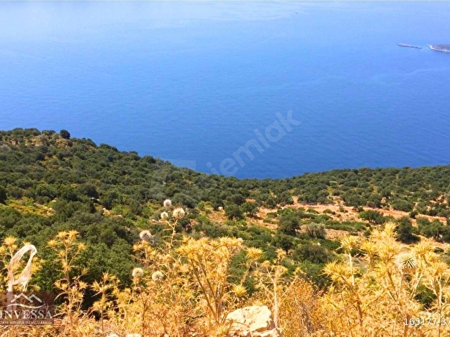 KAŞ GÖKÇEÖRENDE EŞSİZ DENİZ MANZARALI TEK TAPU SATILIK TARLA - Görsel 15
