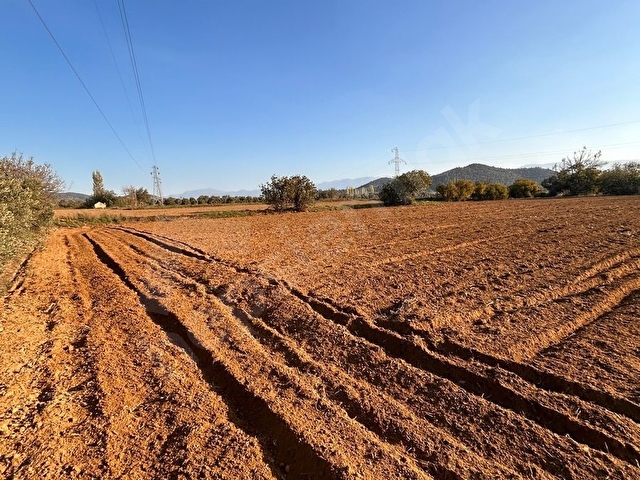 “İzmir Bayındır Zeytinova’da 4.436 m² Yola Cepheli Müstakil Tapulu Tarla” - Görsel 3