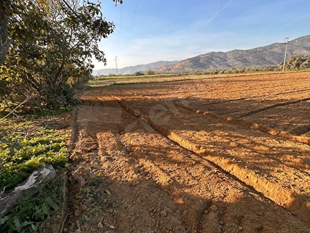 “İzmir Bayındır Zeytinova’da 4.436 m² Yola Cepheli Müstakil Tapulu Tarla” - Görsel 8