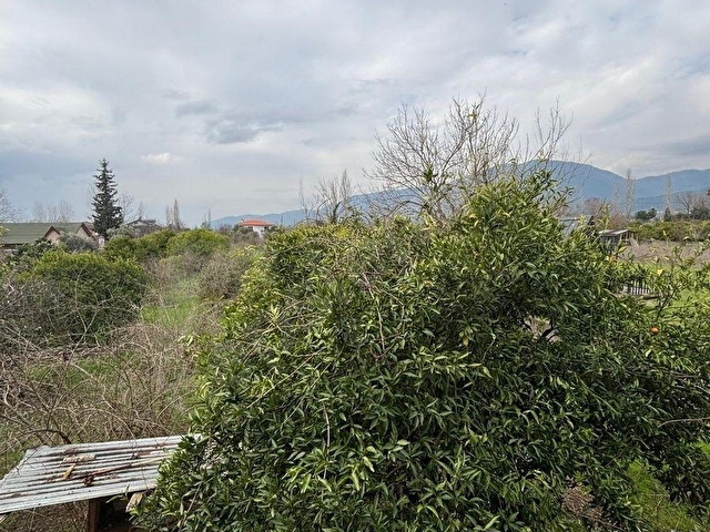 CENNET KÖYCEĞİZ YANGI KAÇIRILMAYCAK FIRSAT 3.107m² SATILIK TARLA - Görsel 15