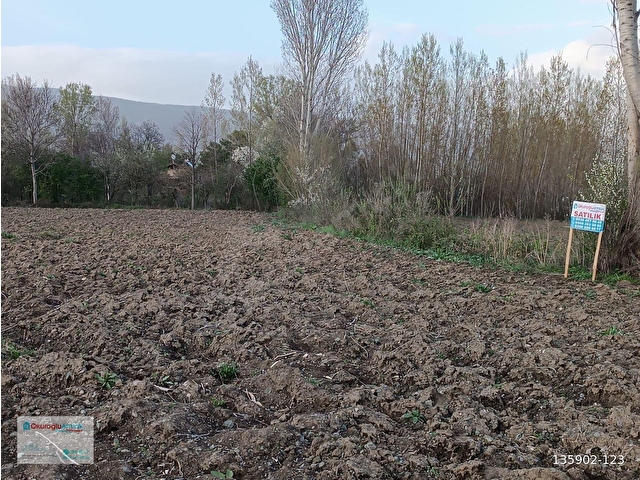 Okuroğlu Emlaktan, Güryıldızda kaçırılmayacak fırsat! Toplam 2.476,18 m²lik tek tapulu tarla/bağ - Görsel 5