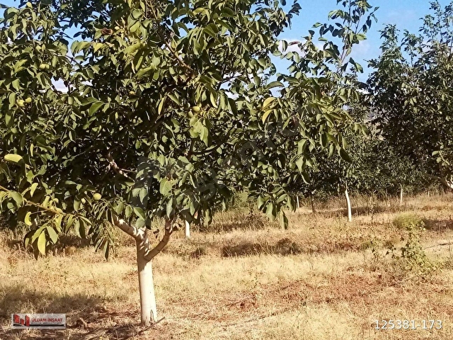 BALIKESİR BANDIRMADA SATILIK YATIRIMLIK TARLA 10,799m2 - Görsel 5