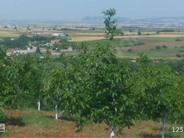 BALIKESİR BANDIRMADA SATILIK YATIRIMLIK TARLA 10,799m2 - Görsel 6