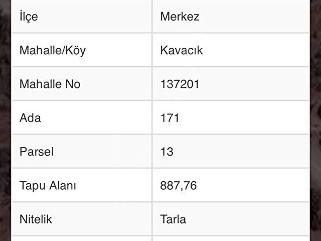 BURDUR EMLAK’TAN MERKEZ KAVACIK KÖYÜ SATILIK TARLA240 - Görsel 2