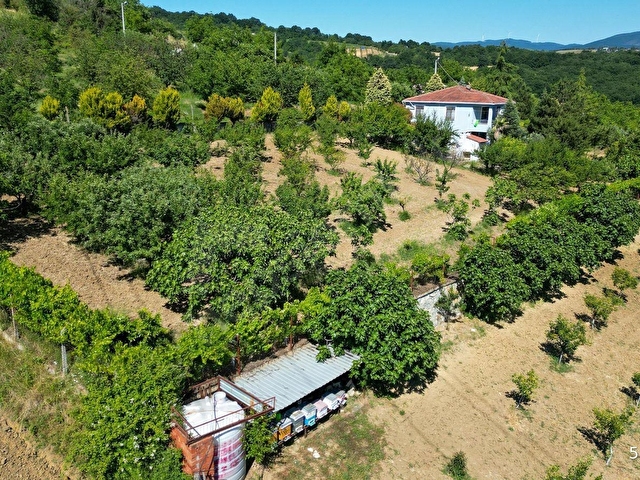 KARAMÜRSEL İNEBEYLİ 2797 M2 BAHÇE İÇİNDE SATILIK MÜSTAKİL EV - Görsel 9