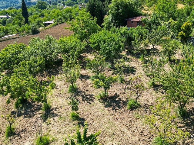 KARAMÜRSEL İNEBEYLİ 2797 M2 BAHÇE İÇİNDE SATILIK MÜSTAKİL EV - Görsel 5