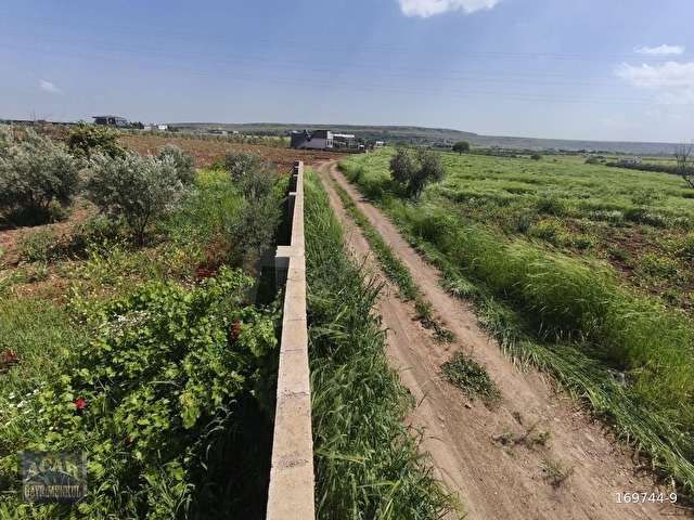 GENEYİK DEREDÜZÜNDE 2,843 M2 BAĞ EVLİK FIRSAT ARAZİ - Görsel 15