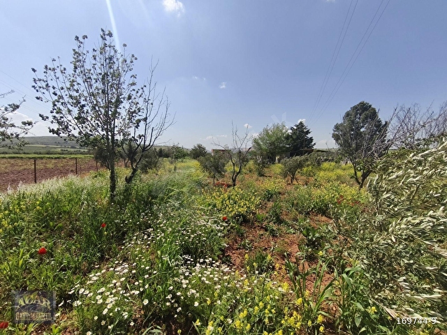 GENEYİK DEREDÜZÜNDE 2,843 M2 BAĞ EVLİK FIRSAT ARAZİ - Görsel 9