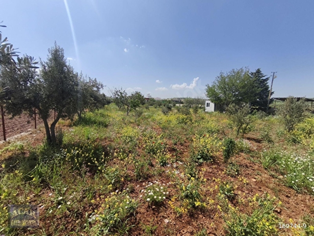 GENEYİK DEREDÜZÜNDE 2,843 M2 BAĞ EVLİK FIRSAT ARAZİ - Görsel 5