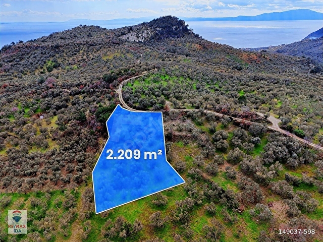 Çanakkale Ayvacık Kayalar Deniz Manzaralı Satılık Zeytinlik - Görsel 4