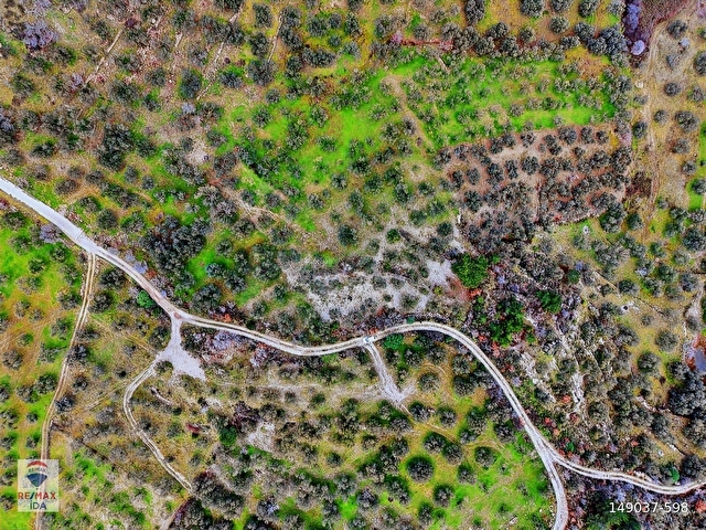 Çanakkale Ayvacık Kayalar Deniz Manzaralı Satılık Zeytinlik - Görsel 7